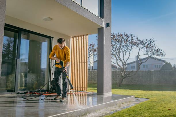 Best Soft Washing for Delicate Surfaces in Eddyville, KY